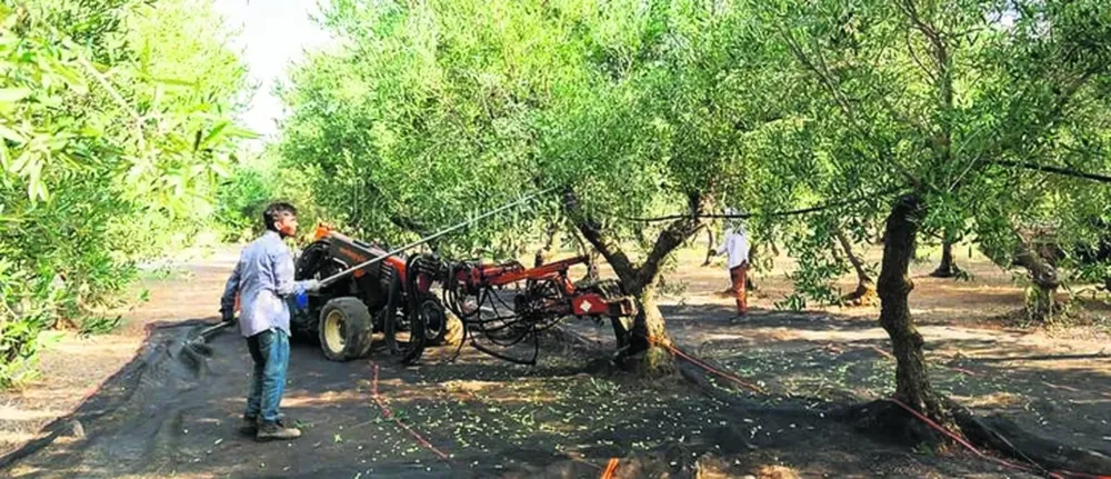 Análisis de los grandes desafíos sectoriales, por cada actividad
