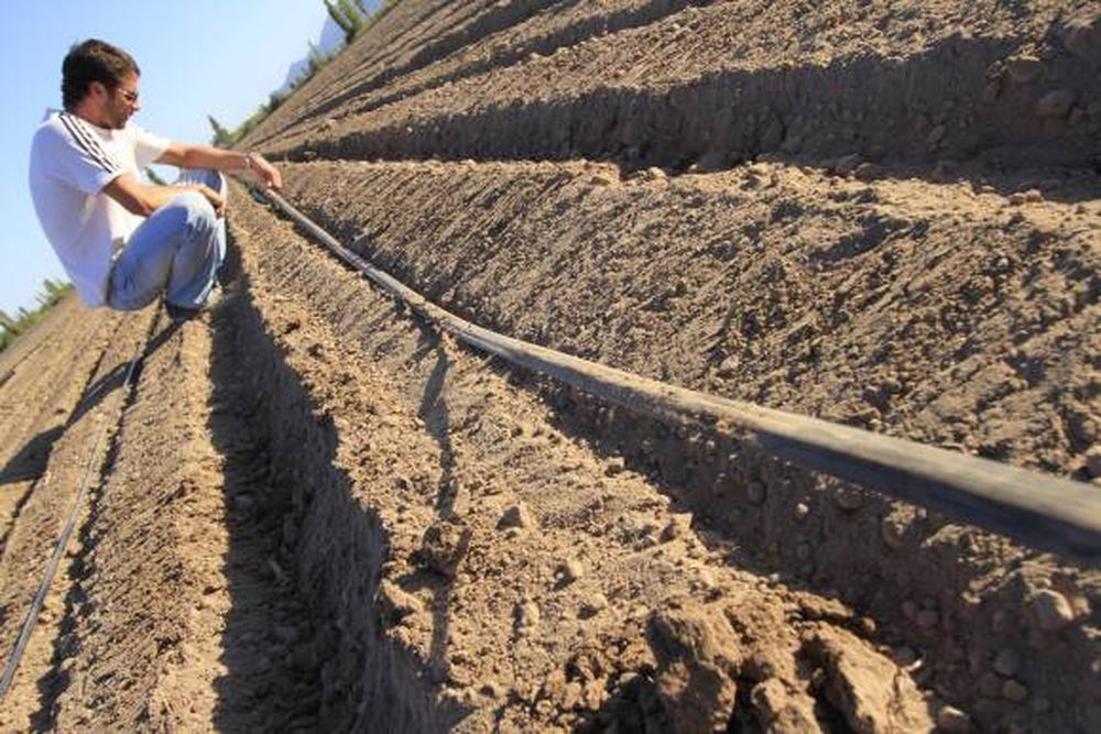 Van a incentivar  con subsidios el crédito para riego