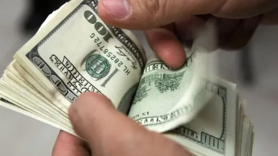 El dólar comenzó marzo sin sobresaltos: subió sólo dos centavos a $20,44