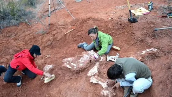 Declararon Reserva Natural a Balde de Leyes y quieren que sea Patrimonio de la Humanidad