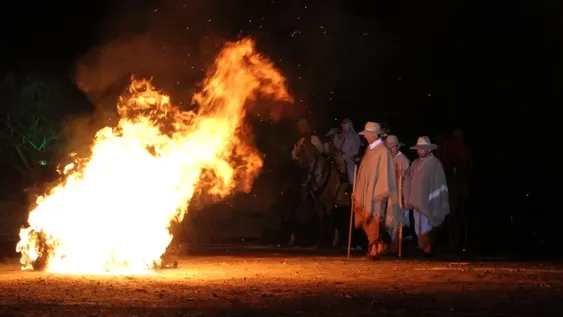 Todo lo que tenés que saber de la Fiesta de la Tradición