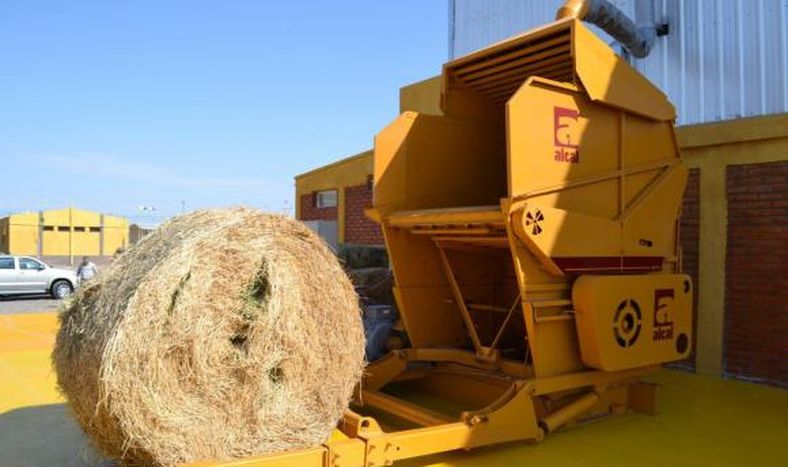 “Debemos apostar a alimentar grandes naciones como China”