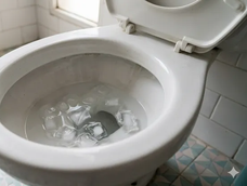 El truco viral del hielo en el inodoro para el mantenimiento rápido del baño. El truco viral del hielo en el inodoro para el mantenimiento rápido del baño.