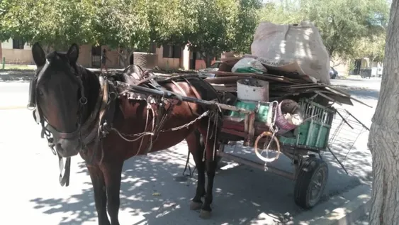 Le robaron una bañera a una mujer cuya casa está dañada y se la llevaron en una carretela