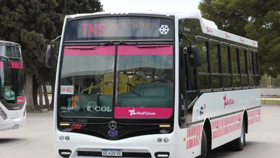 Colectivos.