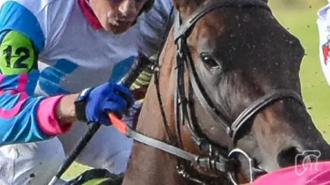 Diario de Cuyo | dcc250523 032f02 685x728.webp