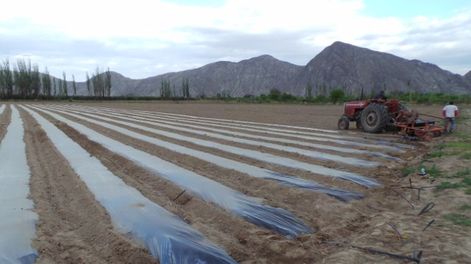 Producción para optimizar los riegos en las fincas