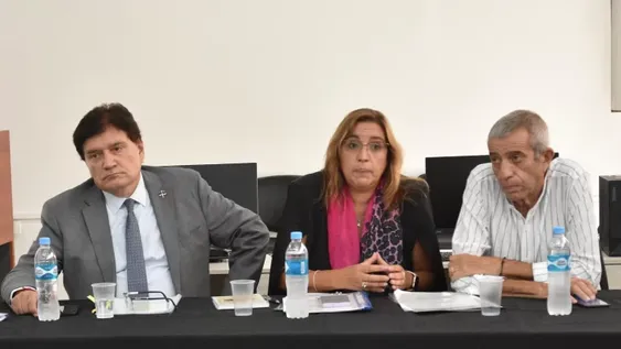 Vallejos y un nuevo revés por los símbolos de Milei