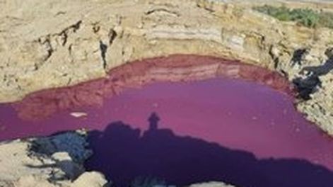 Misterio en el Mar Muerto: un brazo se tiñó de rojo y no encuentran explicación