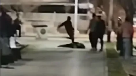 Brutal ataque en Mendoza: un policía le pateó la cabeza a un joven