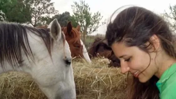 Especial sobre la etoile sanjuanina