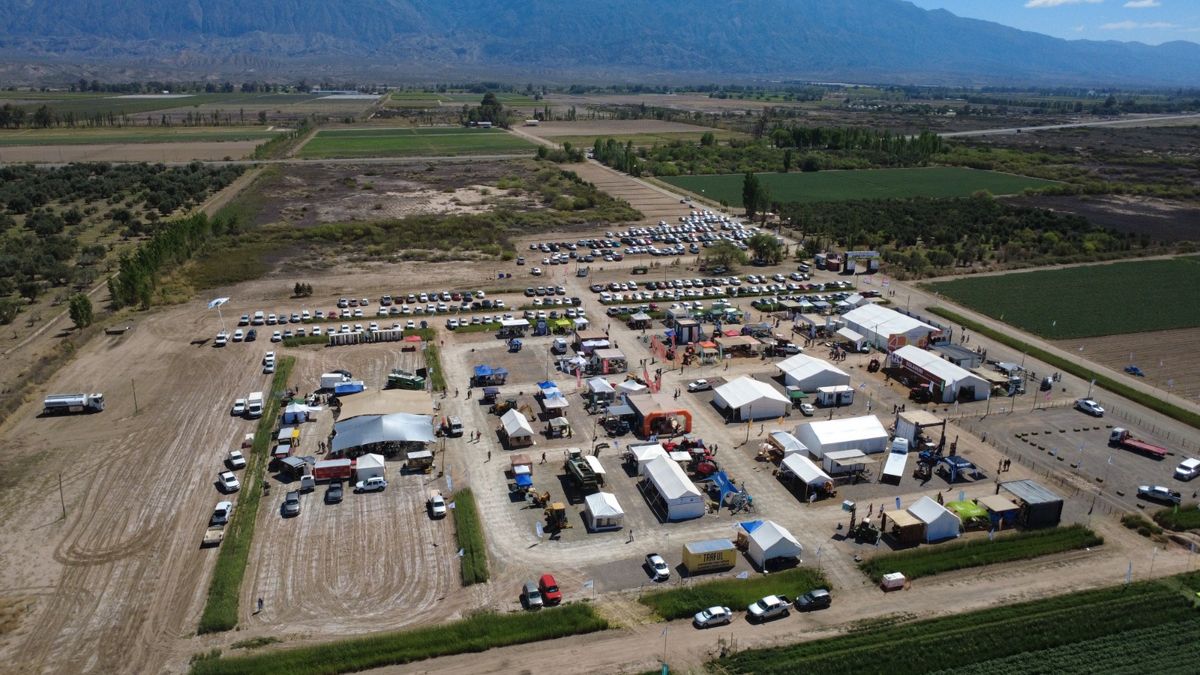 Primer día de Expo Innova Cuyo: semillas, vid y tecnología de precisión en Pocito