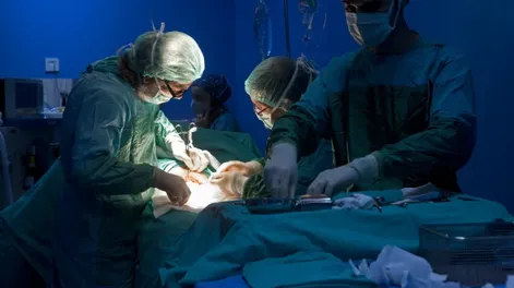 Entró el quirófano por una simple fisura de tibia y salió muerto: su padre denuncia mala praxis