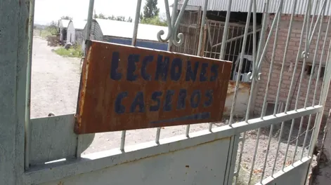 Diario de Cuyo | ddc220420 012f01 728x556.webp