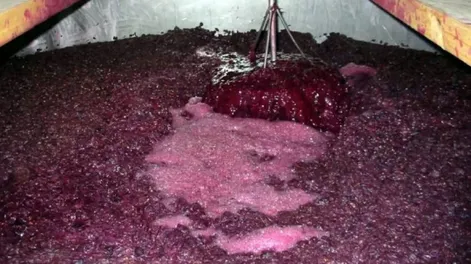 San Juan presentó en COVIAR la propuesta para la edulcoración con jugos naturales