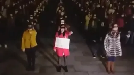 Un hombre irrumpió en una marcha feminista al grito de “Ahora a casa a hacer la cena”