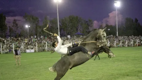 Diario de Cuyo | dcc110224 004f07 728x572.webp