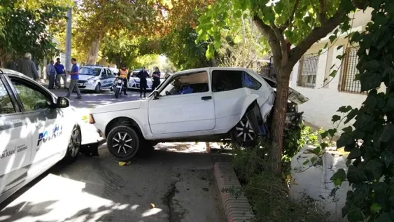 Presunto ladrón intentó fugar en auto con su hija, chocó contra un árbol y fue preso