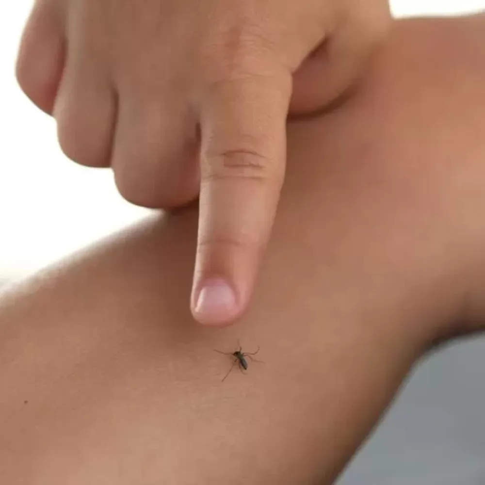Dengue en San Juan, tras confirmarse dos muertes: contabilizan 1.064 casos, con 24 internados