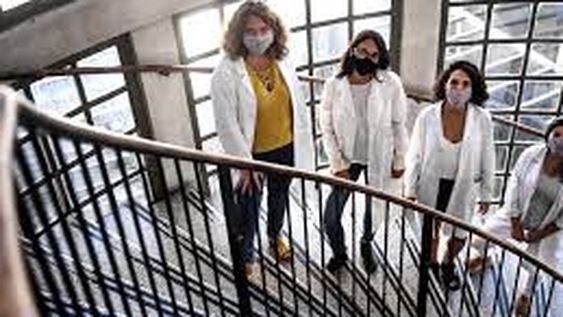 Estudian una terapia alternativa contra la endometriosis a base de extracto de romero