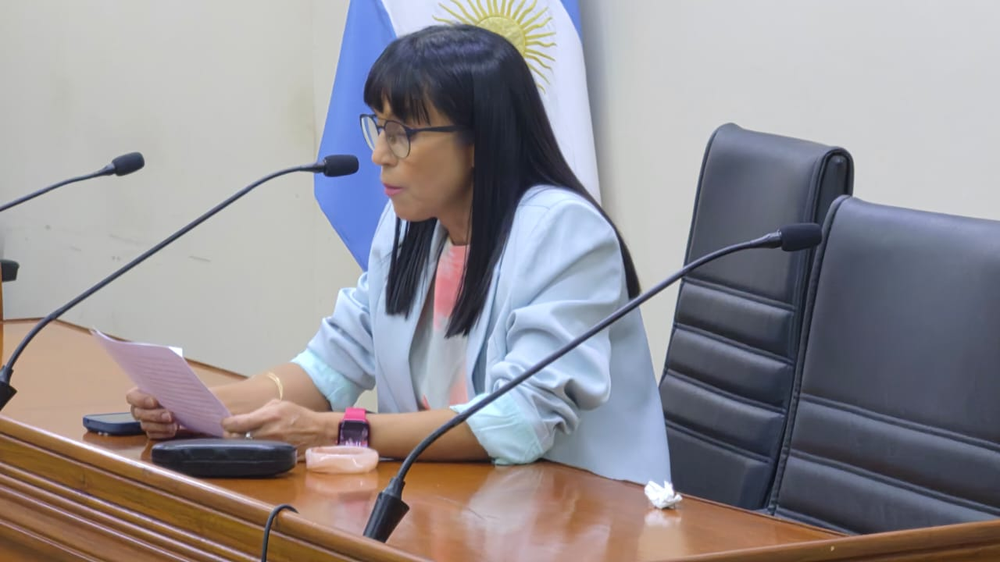 La jueza de garant&iacute;as Flavia Allende se&ntilde;al&oacute; que los fundamentos de la sentencia se conocer&aacute;n el 26 de octbre a las 12 horas.&nbsp;