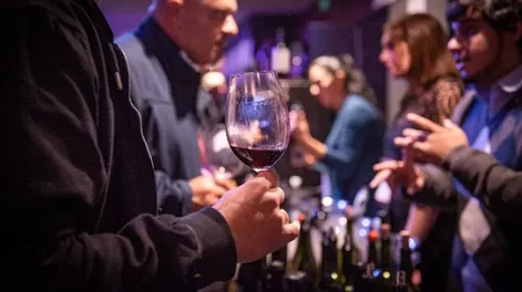 Diario de Cuyo | vinos1 728x470.webp