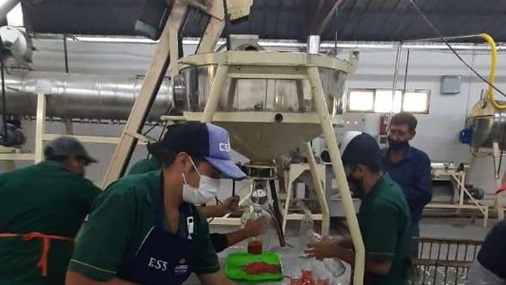Buen ritmo de elaboración de agroindustrias