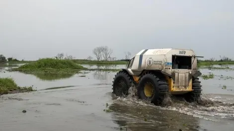 La ONU prevé robots con IA para distribuir alimentos