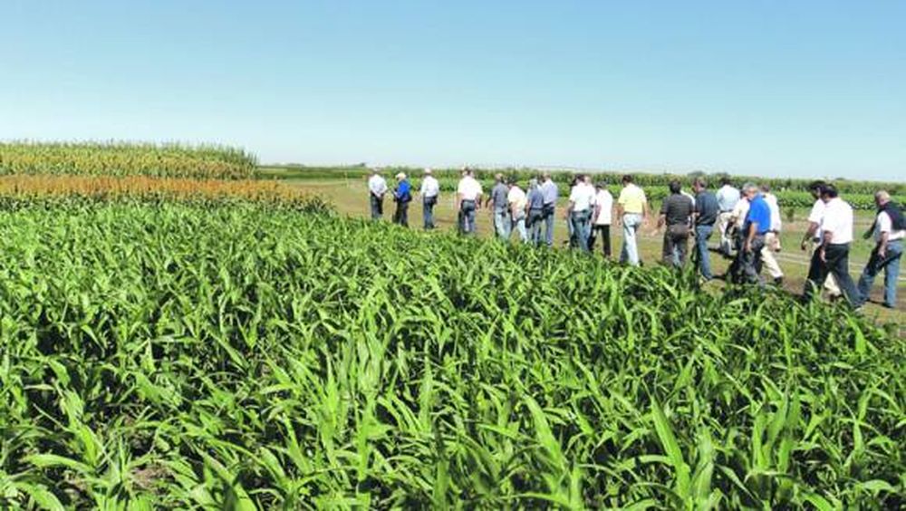 La actividad minera y el agro se dieron la mano