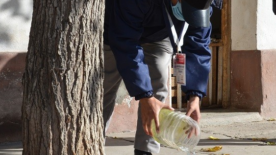 Las recomendaciones de Salud para prevenir el dengue