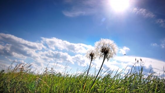 Sábado soleado y caluroso en San Juan