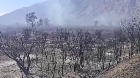 [VIDEO] Incendio dañino en Sierras Chicas: investigan el motivo