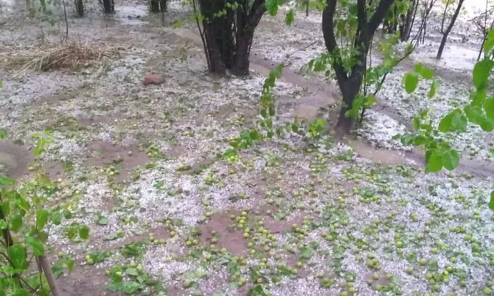 El temporal en Sarmiento afectó 70% de la producción e inundó varias casas