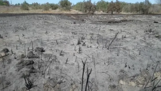 Por limpiar un terreno, incendiaron 30 hectáreas de campo
