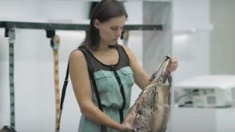 Durísima campaña contra la comercialización del cuero