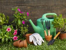 febrero, en el espacio verde febrero, en el espacio verde