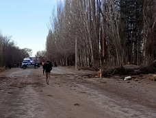 un arbol cayo sobre una camioneta y provoco la muerte de dos personas