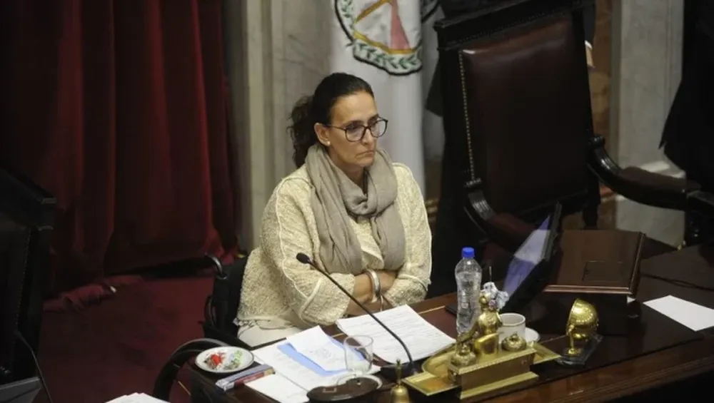 Aborto: Michetti le respondió a Pichetto y defendió el giro de las comisiones en el Senado