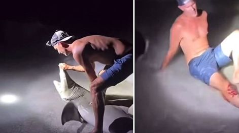 Intentó sacarse una foto con un tiburón y terminó en el hospital