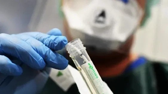 Argentina logró identificar la secuencia genética de al menos 388 cepas de coronavirus