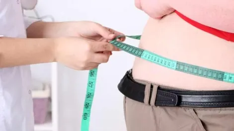 Diario de Cuyo | obesidadprincipal_crop1709418976154.jpg_1199923512 728x728.webp