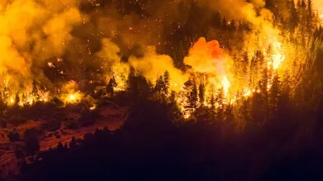 Incendios en Chubut: la investigación confirmó hallazgos de combustible donde se inició el fuego