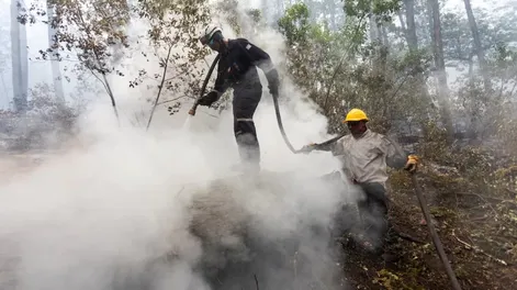 En Chubut se reactivaron las  llamas en algunos puntos por las altas temperaturas