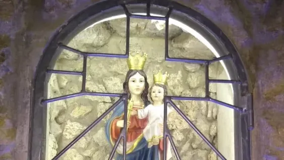 La Patrona del Agro caminará por San Juan