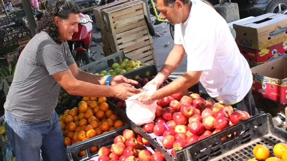 El Senasa brindó explicaciones sobre el uso de los plaguicidas