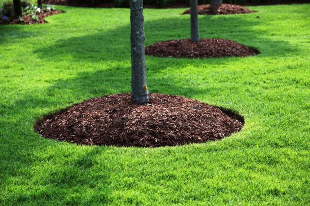 Mulching