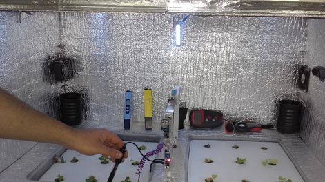 San Juan es la provincia con mayor diversificación en vides