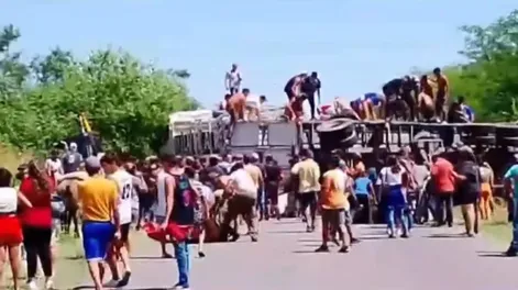 Mercedes: volcó un camión y los vecinos carnearon las vacas en el lugar