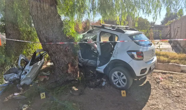 Perdió el control al esquivar una moto y terminó contra un árbol: una mujer hospitalizada