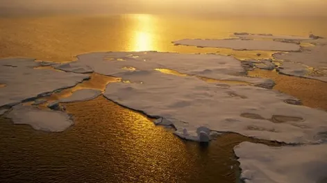 América Latina y el Caribe registraron el mayor aumento de temperaturas de las últimas décadas